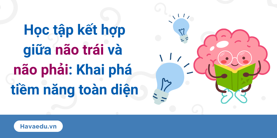 Học tập kết hợp giữa não trái và não phải: Khai phá tiềm năng toàn diện