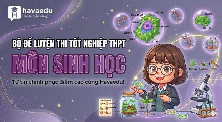 Bộ 40+ đề thi Tốt nghiệp THPT môn Sinh học 2026